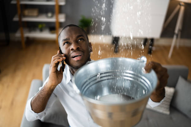 Best 24/7 water damage repair  in South Pasadena, CA