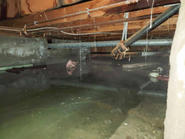 Best Water damage restoration near me  in South Pasadena, CA