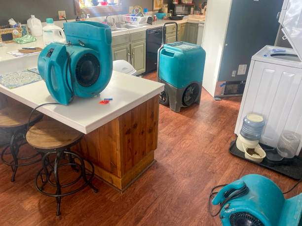 Best Basement water damage restoration  in South Pasadena, CA