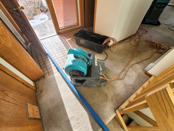 Reliable South Pasadena, CA Water damage restoration Solutions