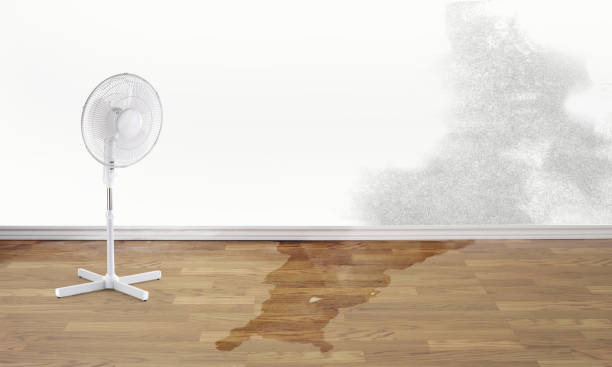 Best Professional water damage repair  in South Pasadena, CA