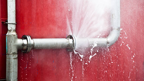 Best Flooded house restoration  in South Pasadena, CA